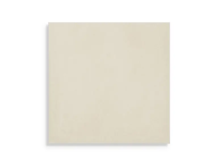 Betrouwbaar vloertegel Wit 20 x 20