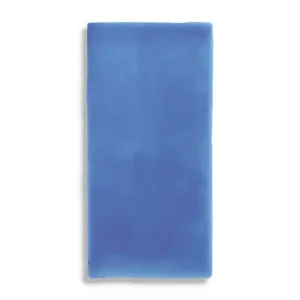 wandtegel Blauw 10 x 20 Tijdelijk Beschikbaar