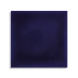 wandtegel Blauw 13.9 x 13.9 Veilige Betaling