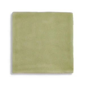 Populair wandtegel Groen 13 x 13