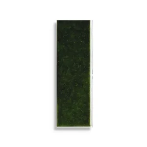wandtegel Groen 6.5 x 20 Seizoensaanbieding