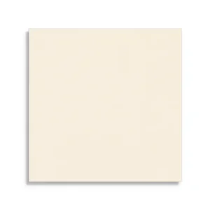 wandtegel Wit 13.9 x 13.9 Direct Verzonden