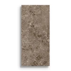 Beperkt Aanbod xxl tegel Bruin 120 x 260