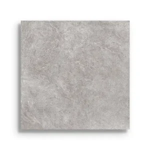 xxl tegel Grijs 120 x 120 Beste Prijs