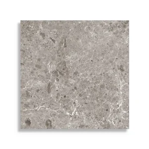 xxl tegel Grijs 120 x 120 Fabrieksprijs