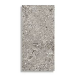 xxl tegel Grijs 60 x 120 Finale Uitverkoop