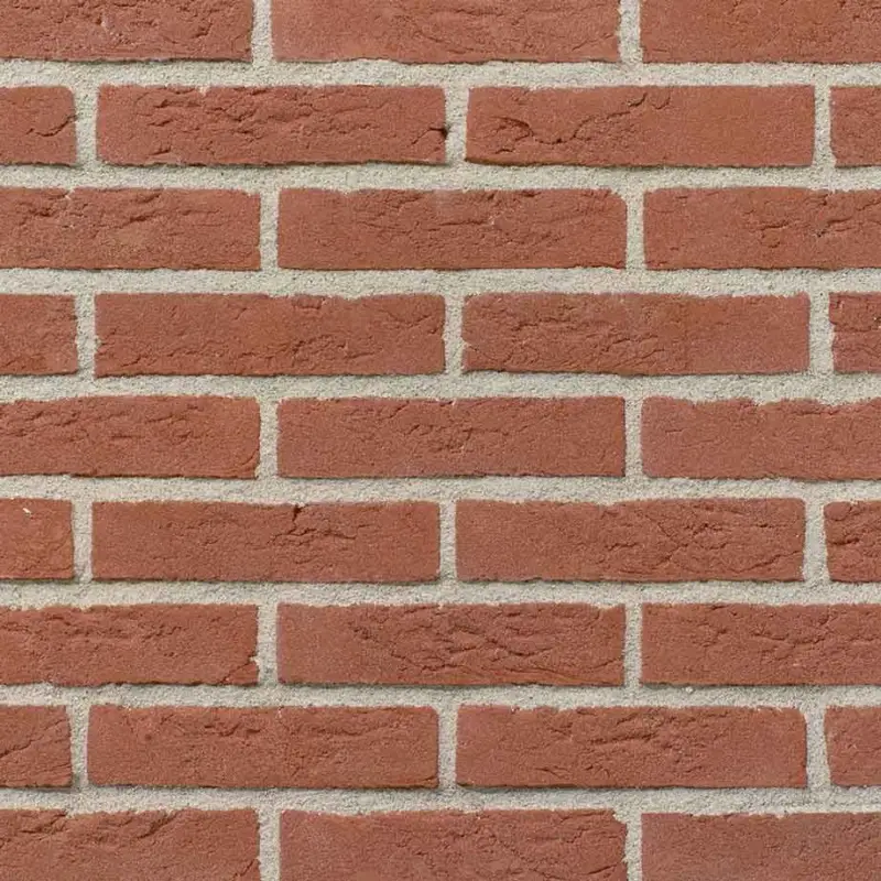 Gratis Retour Keimsteen rood licht genuanceerd Waalformaat per pallet