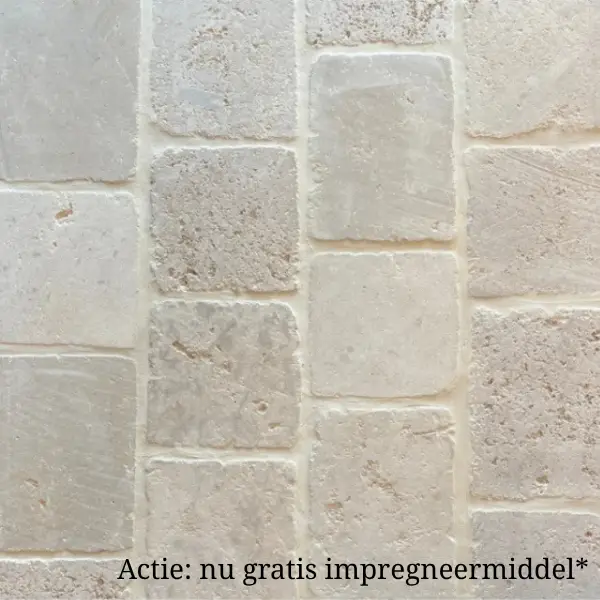 Bourgondische dallen gemêleerd getrommeld 20 cm breed per m2 Laatste Kans