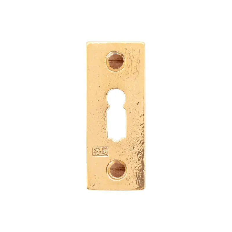 Dauby Pure Line sleutelrozet vierkant brons gepolijst30X68Mm per stuk Merkproduct