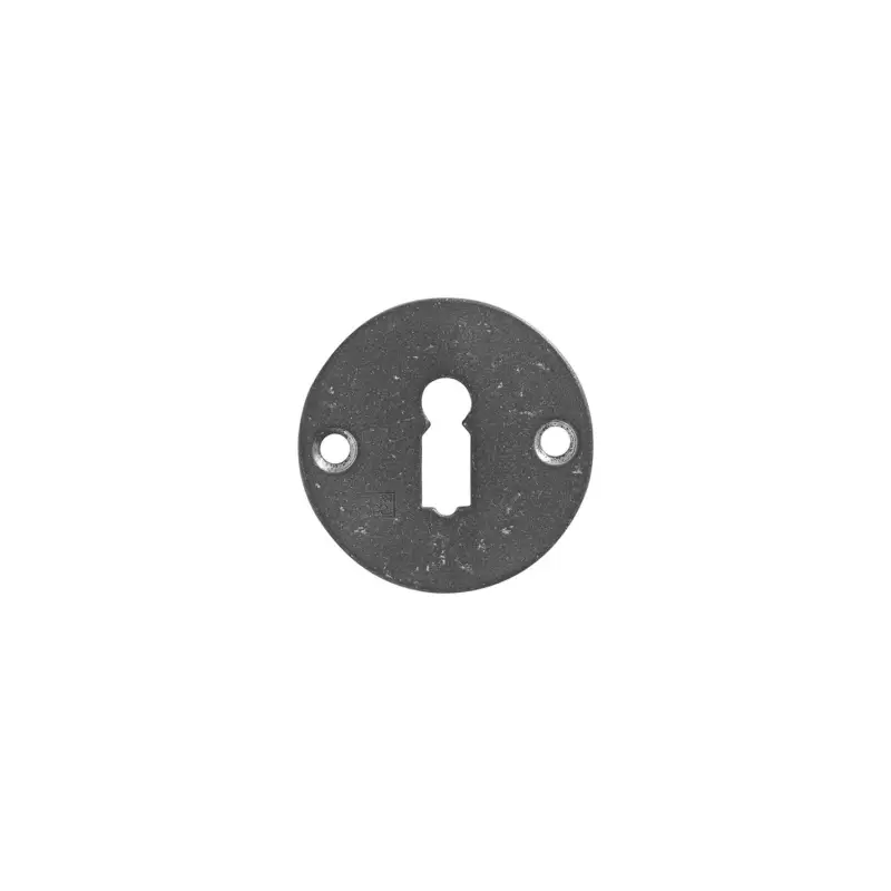 Dauby Pure Line sleutelrozet 50mm ruw metaalper stuk Populair