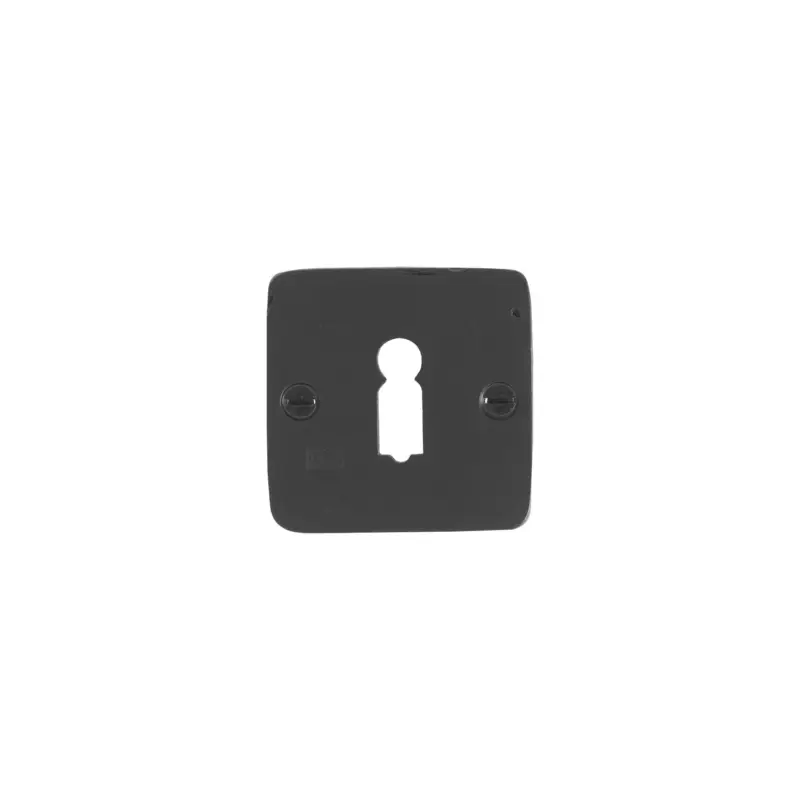 Authentiek sleutel deurrozet diameter 50mm vierkant per stuk Nieuw
