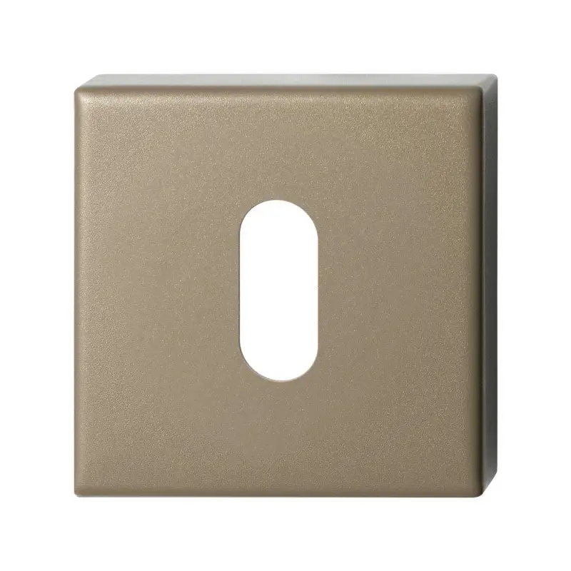 Koop Online Sleutelrozet vierkant 50x50x8mm Champagne blend