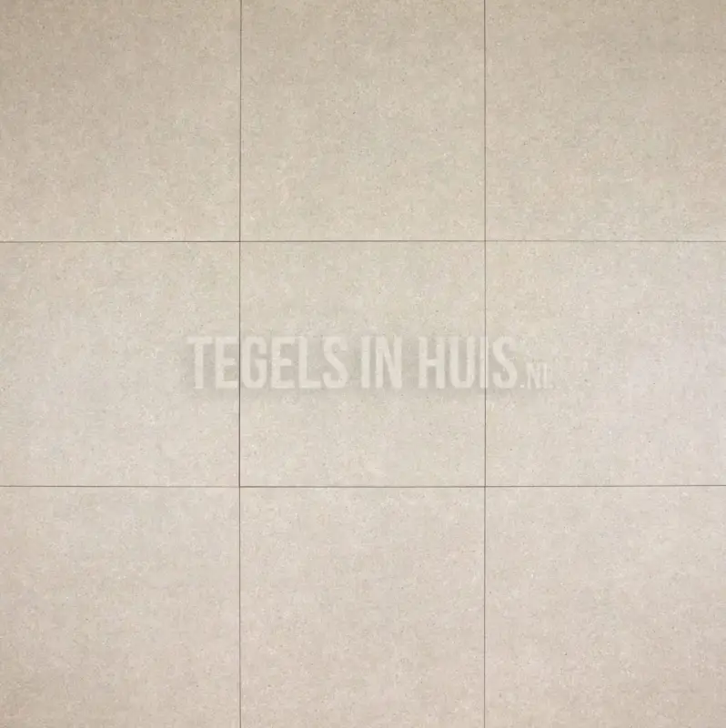Vloertegel – Wandtegel Delta beige 60,8×60,8 R9 Favoriet