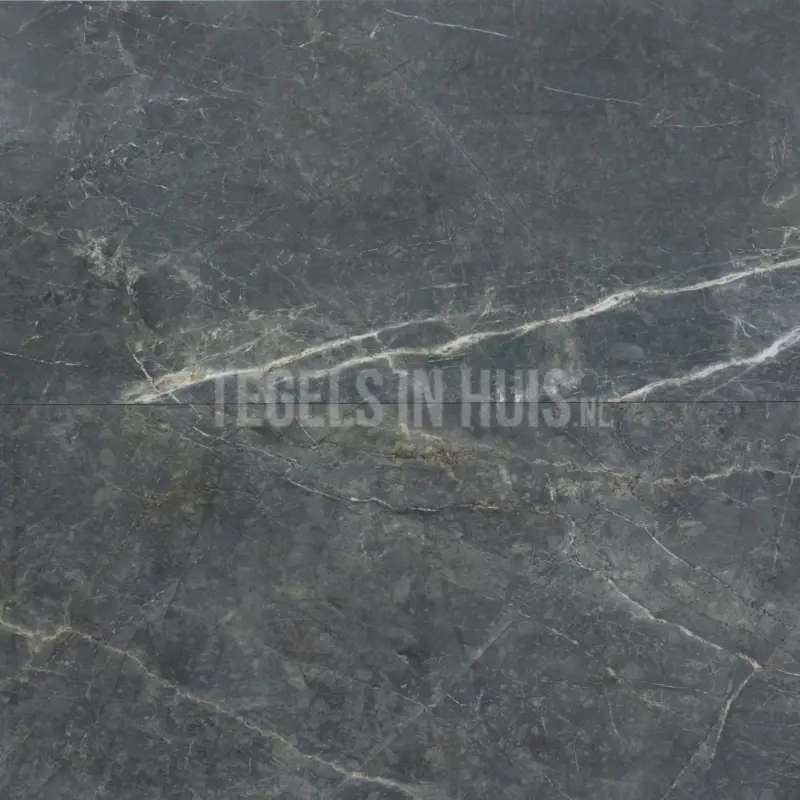 Vloertegel – Wandtegel Marble S donker grijs gepolijst 60×120 gerectificeerd Lage Prijs