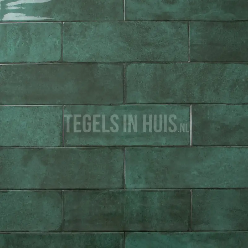 Bestseller Wandtegel Titan forest groen glans 10×30