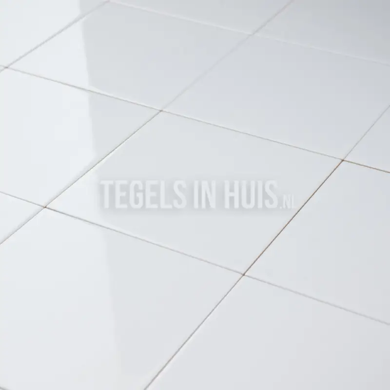 Superprijs Wandtegel Evolution glans wit 15×15 cm