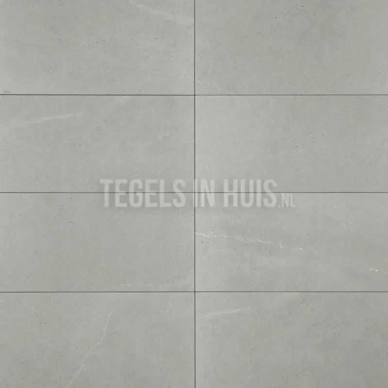 Actieprijs Vloertegel – Wandtegel Belavu grijs mat 30×60 nr R10