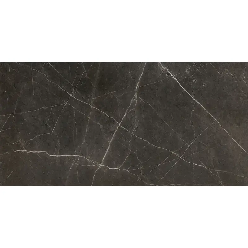 Meest Verkocht Caesar Anima - Graphite - Vloertegel - 60x120cm - Gepolijst - ACSQ