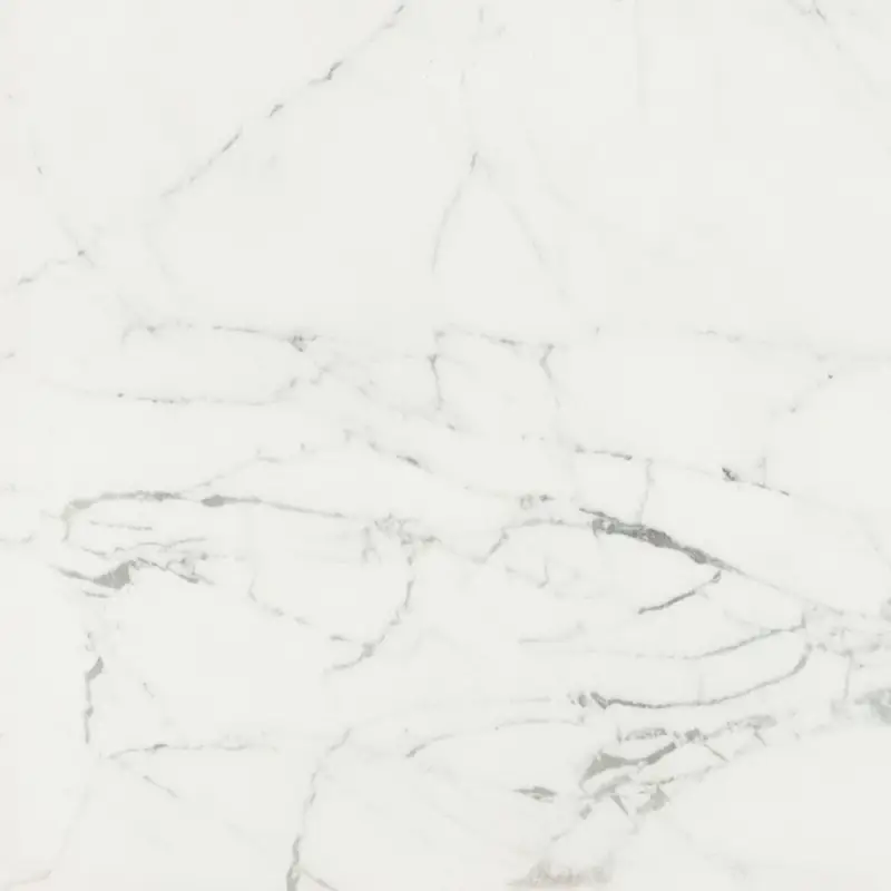 Caesar Anima - Statuario Venato - Vloertegel - 60x60cm - Mat - AEMQ Favoriet
