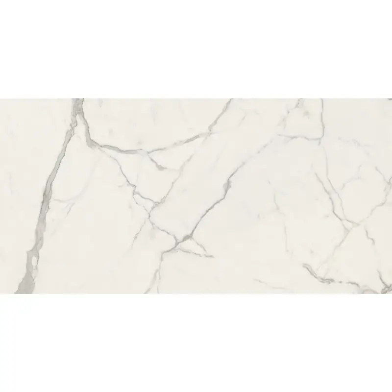 Laatste Kans Caesar Anima Futura - Majestic White - Vloertegel - 60x120cm - Gepolijst - AGB5