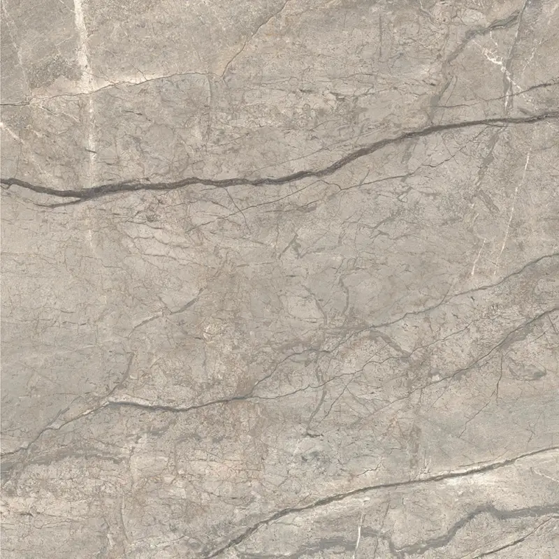 Koop Online Caesar Anima Futura - Amazing Silver - Vloertegel - 120x120cm - Gepolijst - AGCE