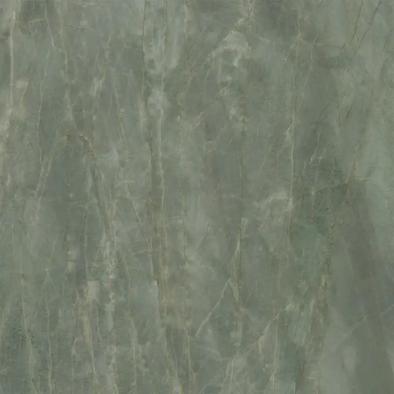 Caesar Anima Ever - Sage Green - Vloertegel - 120x120cm - Gepolijst - AFBJ Populair