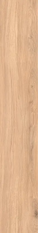 Houtlook - Vloertegel - 20x120cm - Mat - C05COBL Premium