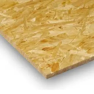 Direct Beschikbaar OSB 3 plaat 12mm, 61x244cm