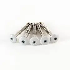 HPL schroef RVS TORX Alleen Vandaag