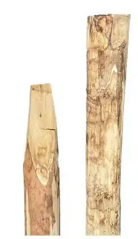 Kastanje palen 8cm/10cm gepunt Betaalbaar