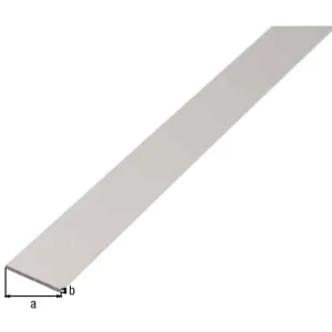 Flitsaanbieding Aluminium platte strippen, zilver geanodiseerd