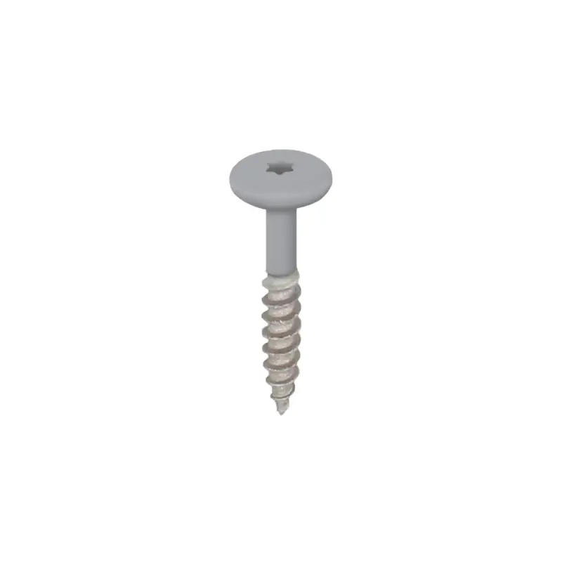 Beperkt Aanbod Torx schroef 32mm rvs V2A 100st – Grafietzwart