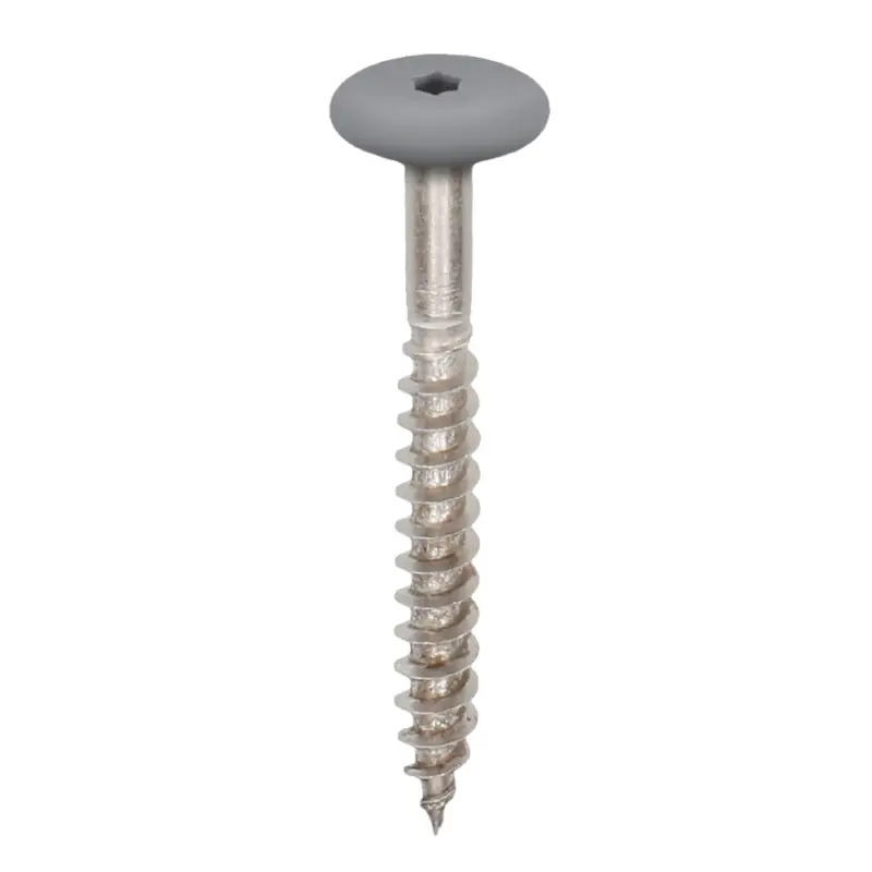 Bestel Nu Torx schroef 45mm rvs V4A 100st – Monumentengroen