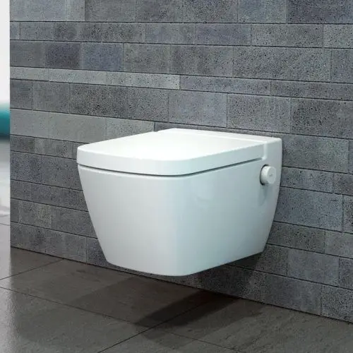 Douche WC wandcloset met douchefunctie en Softclose closetzitting Alleen Vandaag