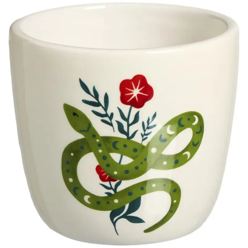 Mok Zonder Oor Slang Groen/Wit 250ml Koop Vandaag