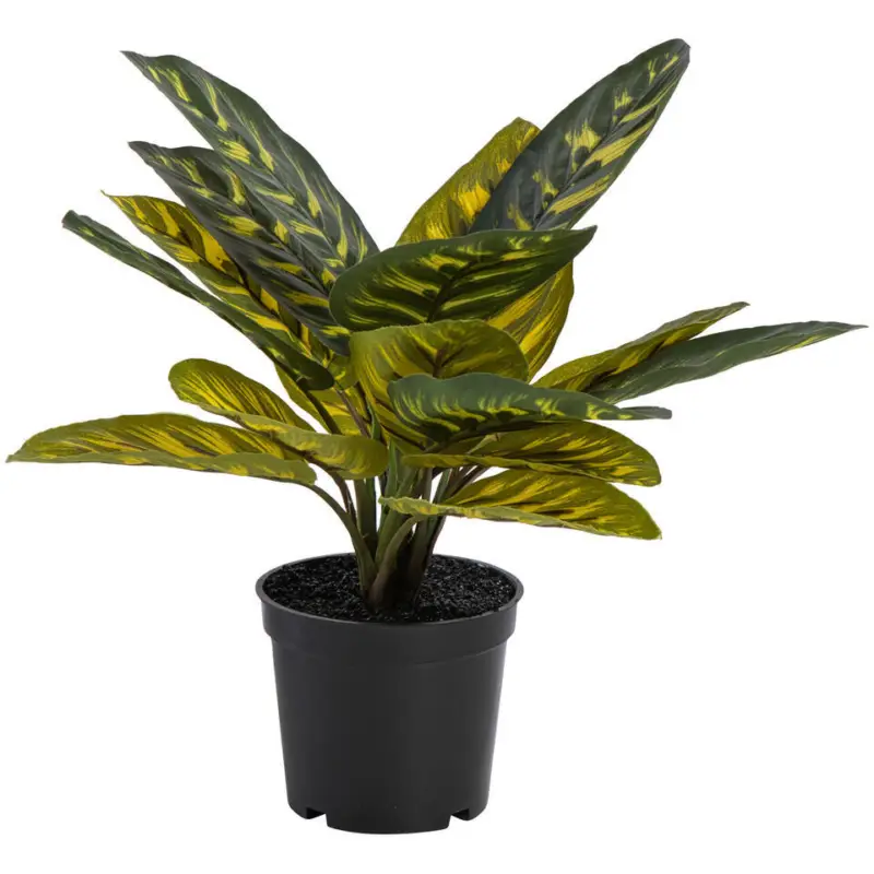 Kunstplant In Pot Pauwenplant Groen Finale Uitverkoop