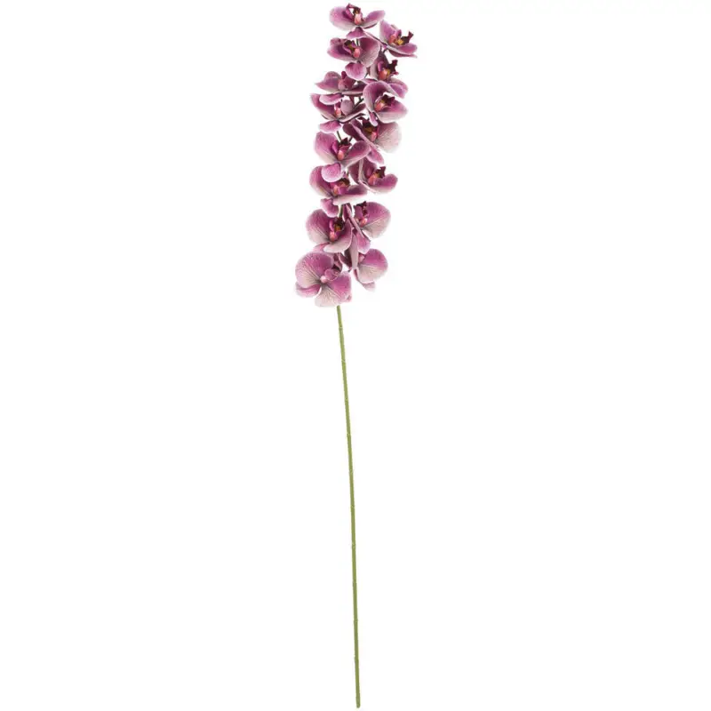 Kunsttak Orchidee Aubergine Koopje