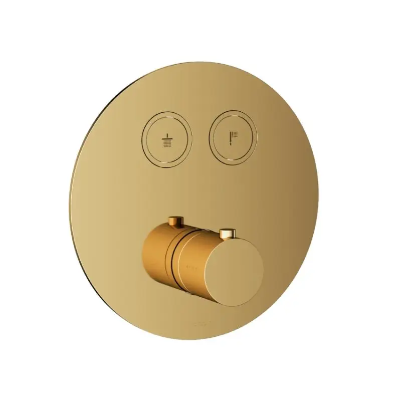 Afbouwdeel – Inbouwthermostaat met 2 pushbuttons NBP PVD Lage Kosten