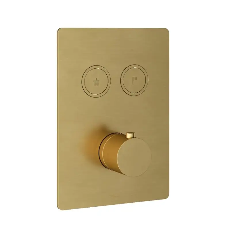 Afbouwdeel – Inbouwthermostaat met 2 pushbuttons BBP PVD Voordeelprijs