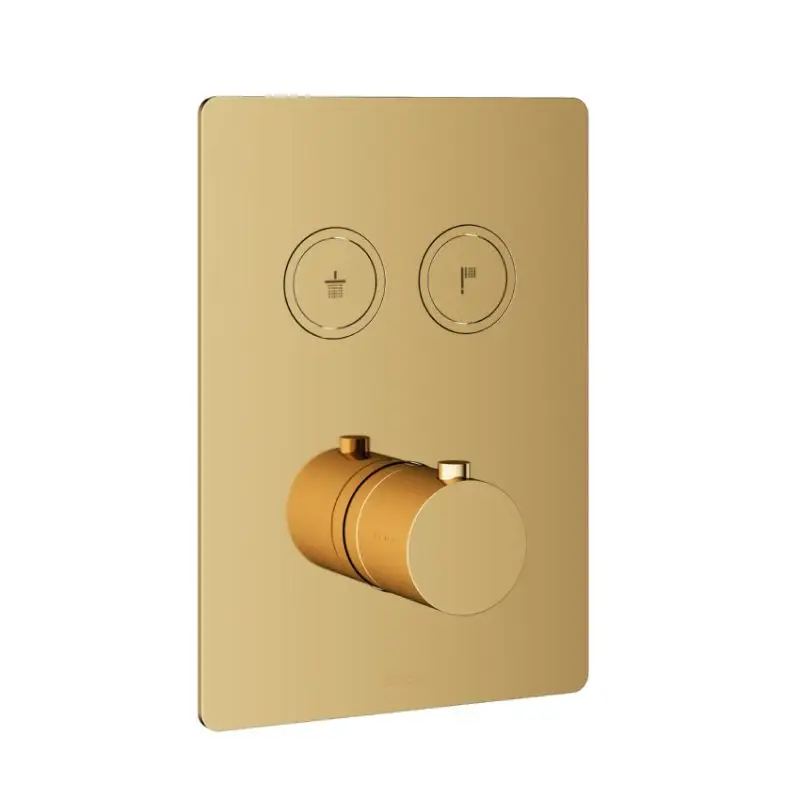 Finale Uitverkoop Afbouwdeel – Inbouwthermostaat met 2 pushbuttons NBP PVD