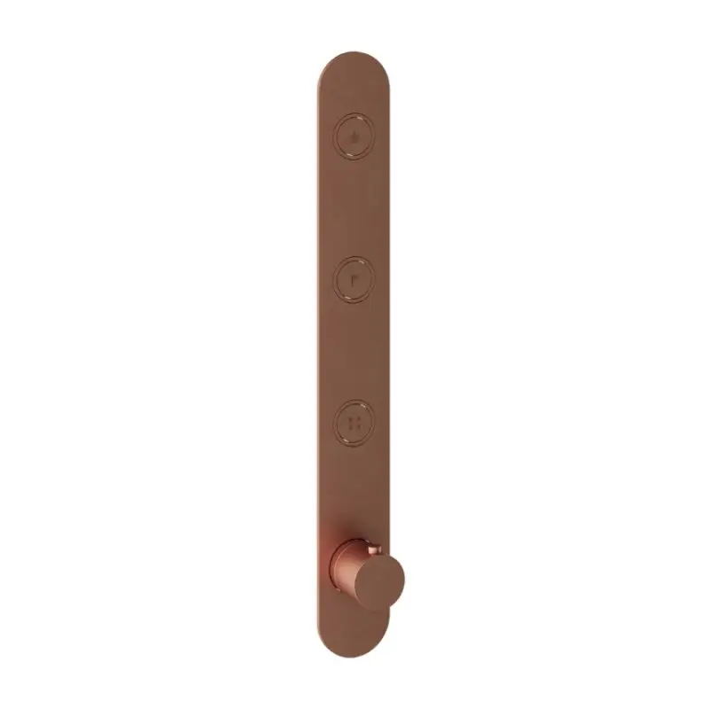 Premium Afbouwdeel – Inbouwthermostaat met 3 pushbuttons verticale plaatsing BC – Living Colours vormen een Poetsbaar patina