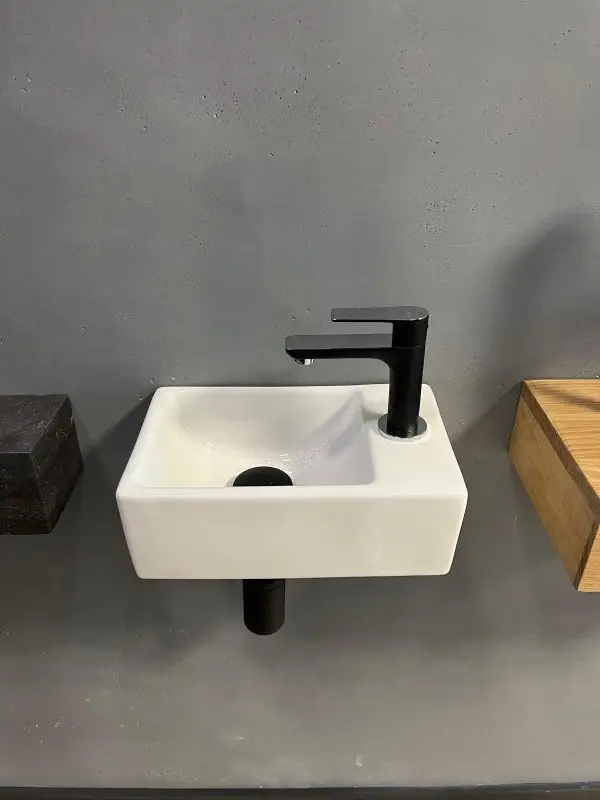 Lage Kosten Fonteinset Brassica