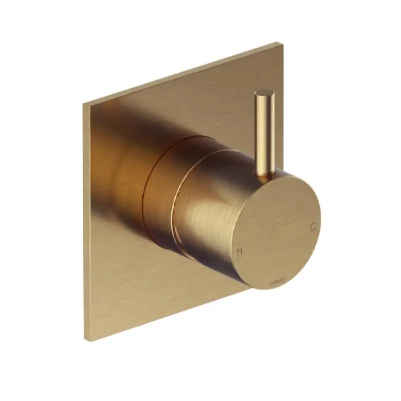 Goedkoop Afbouwdeel – Inbouw douchemengkraan BB – Living Colours vormen een Poetsbaar patina CB031QEXTBB