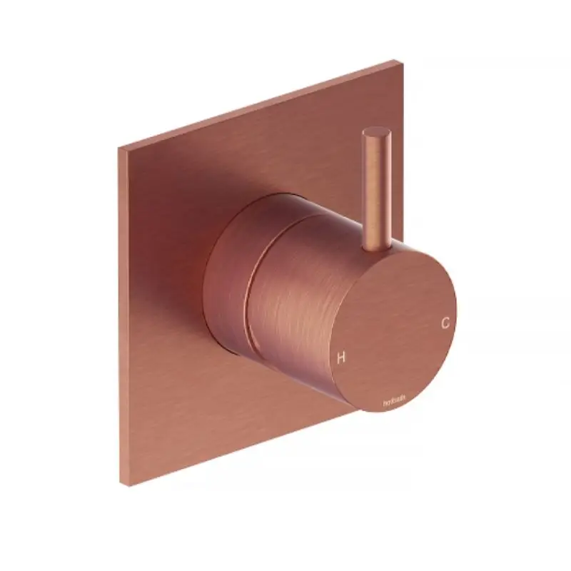 Afbouwdeel – Inbouw douchemengkraan BC – Living Colours vormen een Poetsbaar patina CB031QEXTBC Nu Kopen