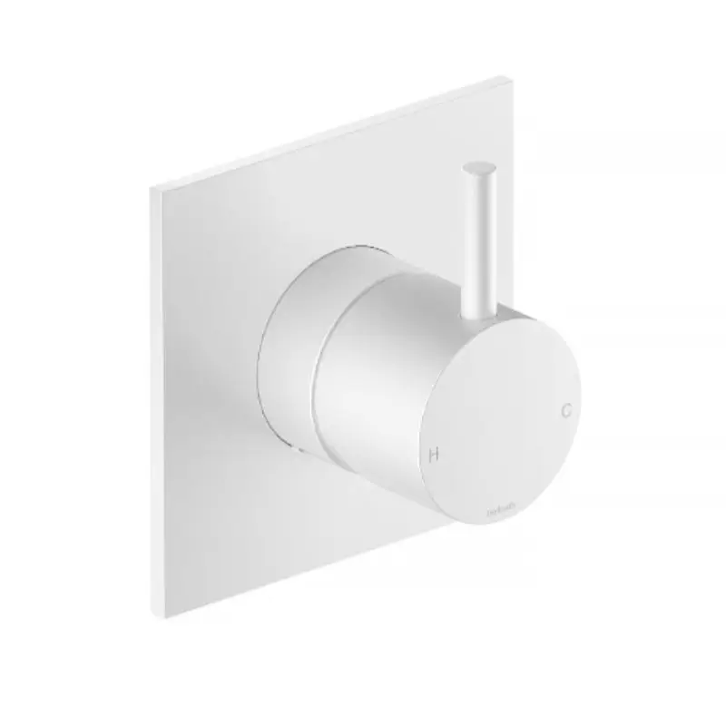 Veilige Betaling Afbouwdeel – Inbouw douchemengkraan WH CB031QEXTWH