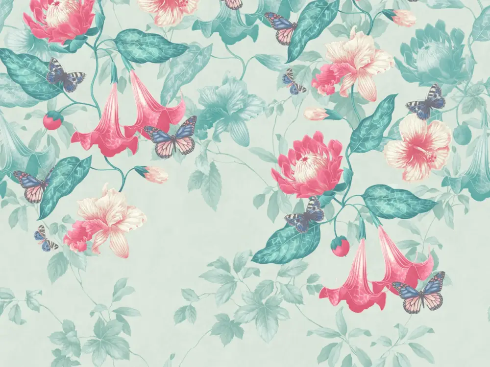 Little Greene Asterid - Island Lage Kosten