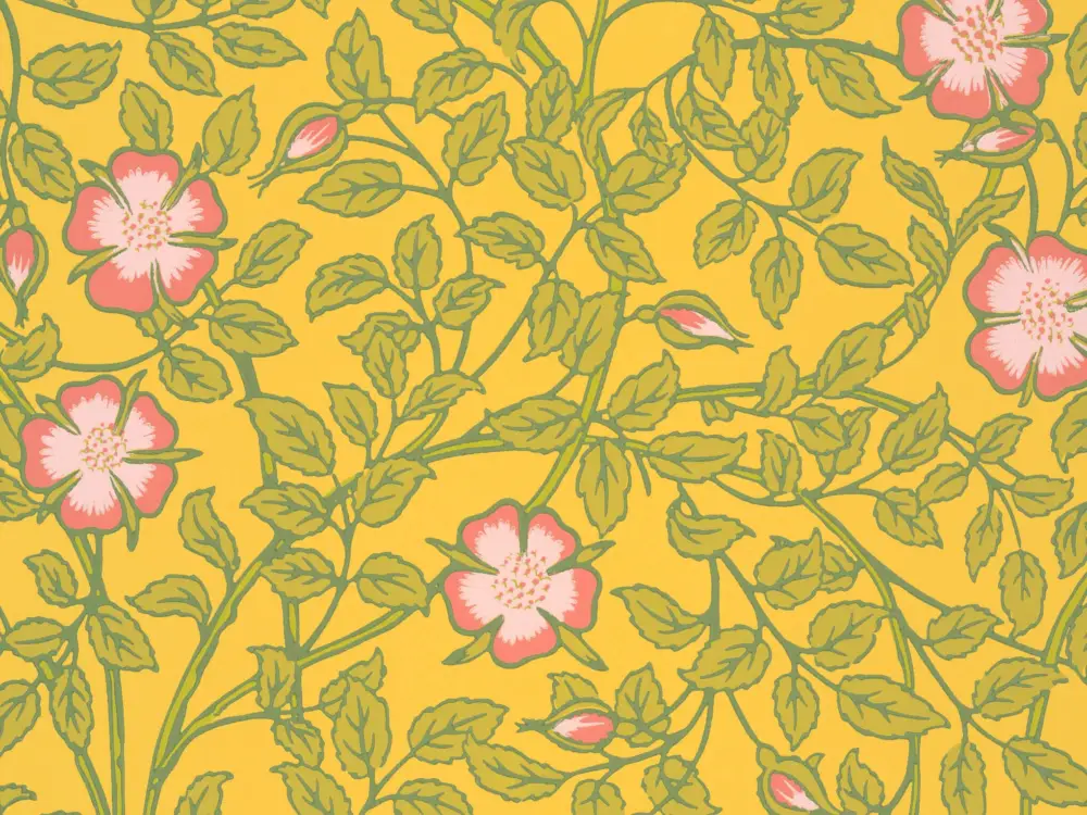 Lage Kosten Little Greene Briar Rose - Indian Yellow