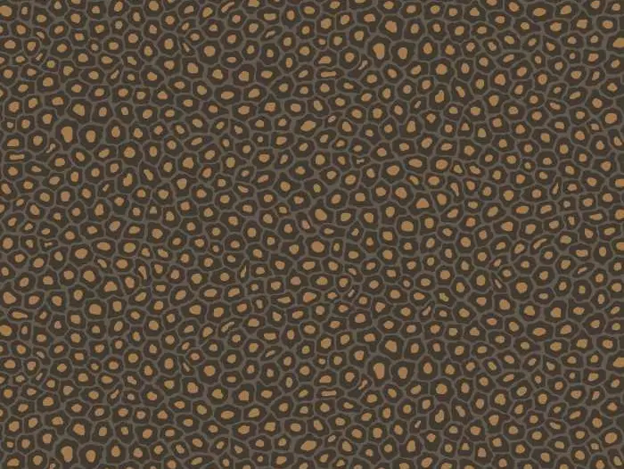 Actieprijs Cole & Son Senzo Spot - 109/6032