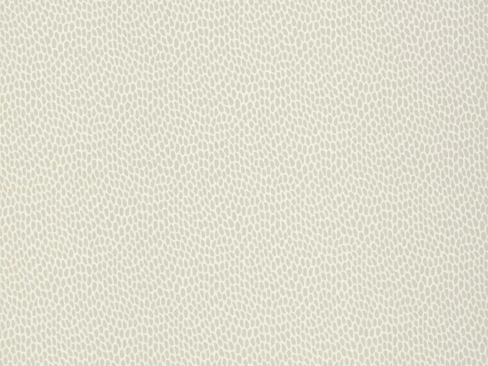 Alleen Vandaag Paint & Paper Library Seedpod - Wattle