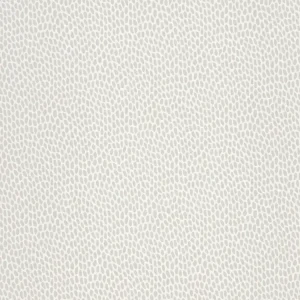 Beperkt Aanbod Paint & Paper Library Seedpod - Salt